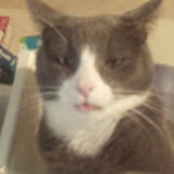 Meet your Posher, Michael - Picture 1 of 1